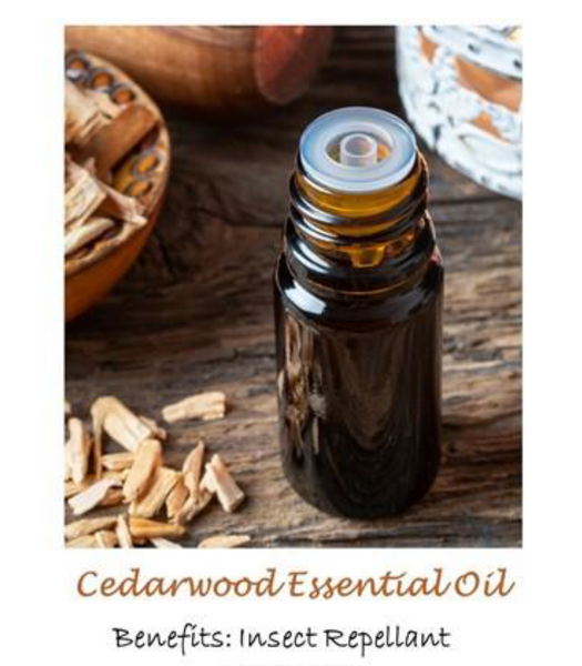 10406 AT Cedarwood ESSENTIAL OIL