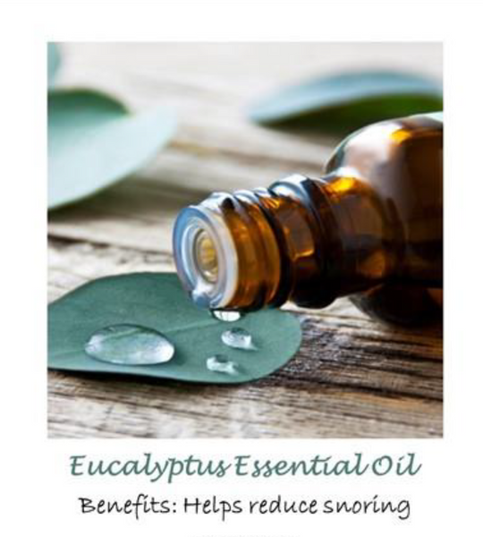 10407 AT Eucalyptus ESSENTIAL OIL
