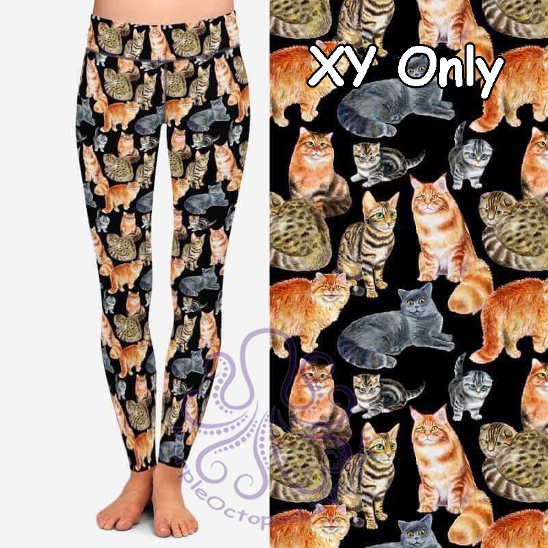 9568 Cat Collage DESIGNER LEGGINGS HQ-N49B