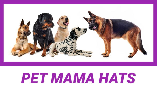 9929 Pet Mama BASEBALL CAPS HQ-Z99ADD ON