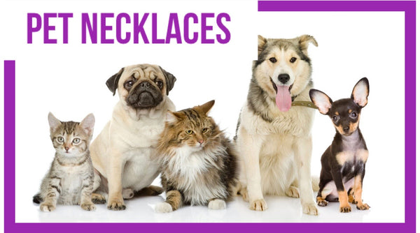 9931 Pet NECKLACES HQ-6ADD ON