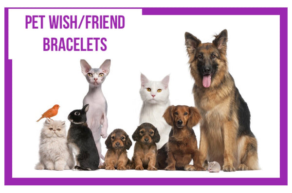 9933 Pet Best Friend BRACELETS HQ-4ADD ON