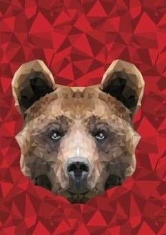914 Geo Bears DESIGNER LEGGINGS HQ-F14A